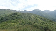 Thumbnail of pic_KC_Leung_123.jpg