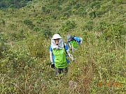 Thumbnail of pic_Sam_Ho_024.JPG