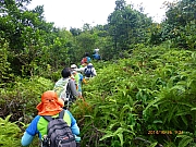 Thumbnail of pic_Thomas_Leung_028.jpg