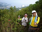 Thumbnail of pic_Wai_031.JPG