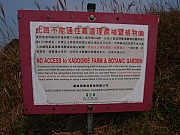 Thumbnail of pic_Amy Fong_101.JPG