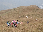 Thumbnail of pic_KC_Leung_116.JPG