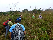 Thumbnail of pic_Thomas_Leung_073.jpg