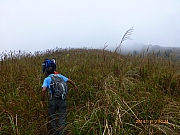 Thumbnail of pic_Thomas_Leung_084.jpg