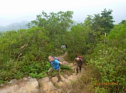 Thumbnail of pic_Wai_006.JPG