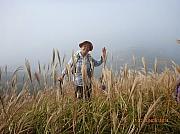 Thumbnail of pic_Wai_065.JPG