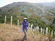 Thumbnail of pic_Wai_125.JPG