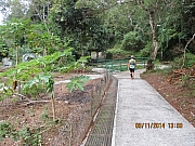 Thumbnail of pic_Eddie_Lui_201.JPG