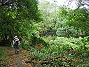 Thumbnail of pic_Wai_051.JPG