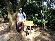 Thumbnail of PB160039.JPG