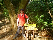 Thumbnail of pic_Wai_066.JPG