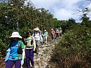 Thumbnail of pic_Thomas_Leung_154.jpg