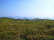 Thumbnail of pic_Wai_088.JPG