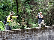 Thumbnail of PB300103.JPG