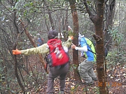 Thumbnail of pic_Sam_Ho_053.JPG
