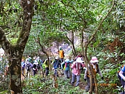 Thumbnail of pic_Wai_174.JPG