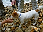 Thumbnail of pic_Wai_126.JPG