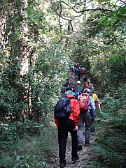 Thumbnail of pic_Billy_Wong_009.JPG