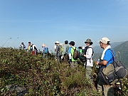 Thumbnail of pic_Thomas_Leung_243.jpg