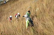 Thumbnail of pic_CC_Li_010.jpg