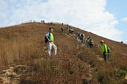 Thumbnail of pic_CC_Li_018.jpg