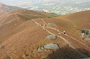 Thumbnail of pic_CC_Li_031.jpg