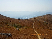 Thumbnail of pic_Wai_094.JPG