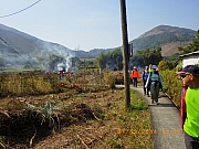 Thumbnail of pic_Wai_133.JPG