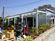 Thumbnail of pic_Wai_145.JPG