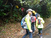 Thumbnail of pic_Sam_Ho_006.JPG