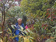 Thumbnail of pic_Sam_Ho_009.JPG