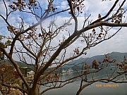 Thumbnail of pic_Wai_014.JPG