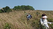 Thumbnail of pic_Thomas_Leung_160.jpg