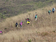 Thumbnail of P1250024.JPG