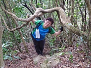 Thumbnail of pic_KC_Leung_027.jpg