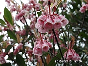 Thumbnail of pic_Thomas_Leung_144.jpg