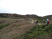 Thumbnail of P3010105.JPG