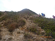 Thumbnail of pic_Wai_042.JPG