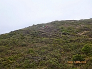 Thumbnail of pic_Wai_094.JPG