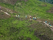 Thumbnail of P3080048.JPG