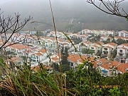 Thumbnail of pic_Wai_016.JPG