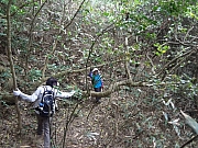 Thumbnail of pic_Billy_Wong_029.JPG