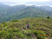Thumbnail of pic_Wai_021.JPG