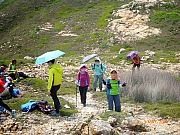 Thumbnail of pic_Wai_070.JPG