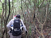 Thumbnail of pic_Thomas_Leung_027.jpg