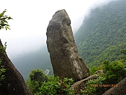 Thumbnail of pic_Wai_015.JPG