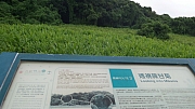 Thumbnail of pic_KC_Leung_108.jpg