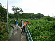 Thumbnail of pic_Wai_035.JPG