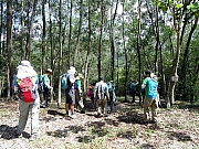 Thumbnail of P6280009.JPG