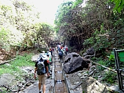 Thumbnail of P7050005.JPG